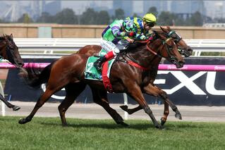 Another Stakes Win For I Am A Star (NZ) in Kewney Stakes. Photo: Equine Images.